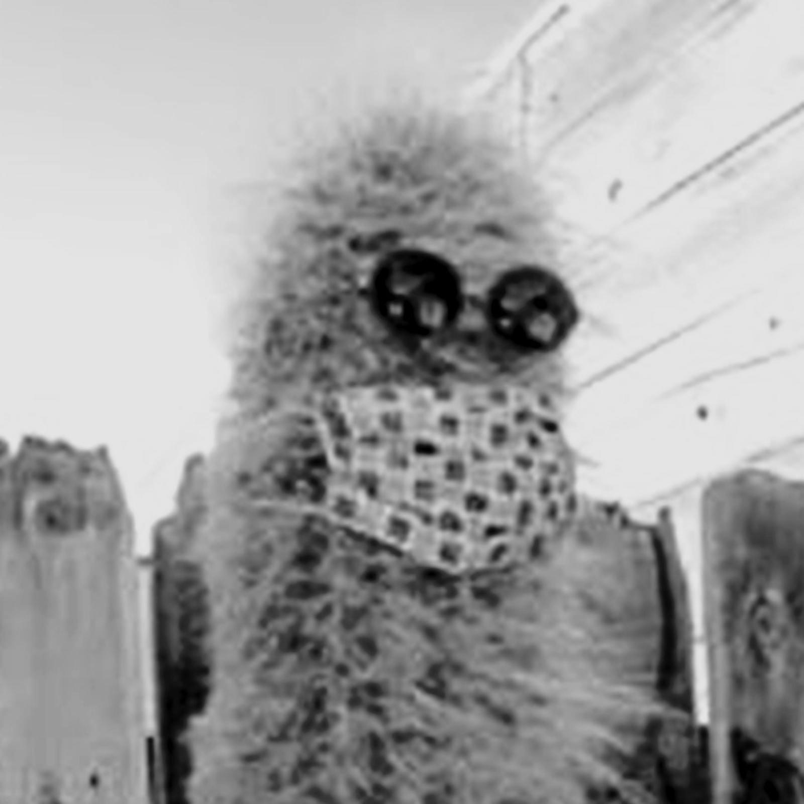 Harry T. Cactus 2021 Ceremonial Mayor of Pioneertown.